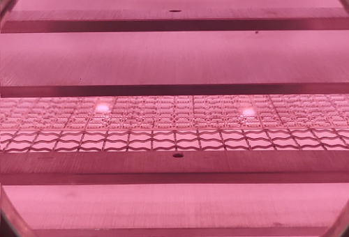 plasma秋葵视频IOS在线免费观看設備