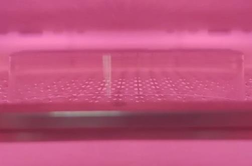 秋葵视频成年人APP污下载儀